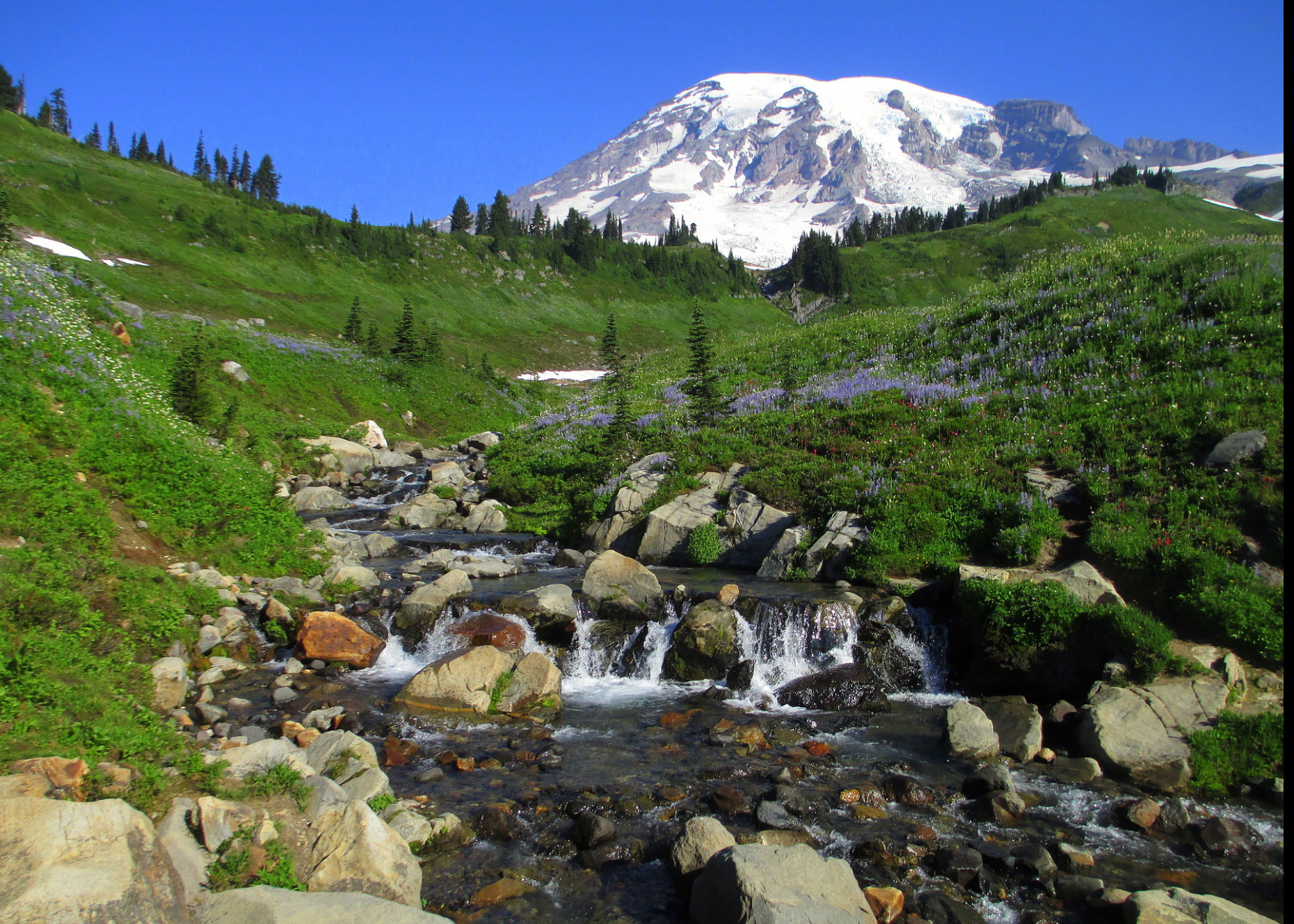 Mount Rainier