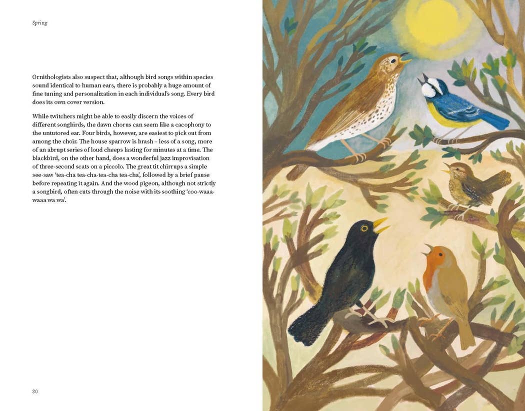 The Wildlife Year