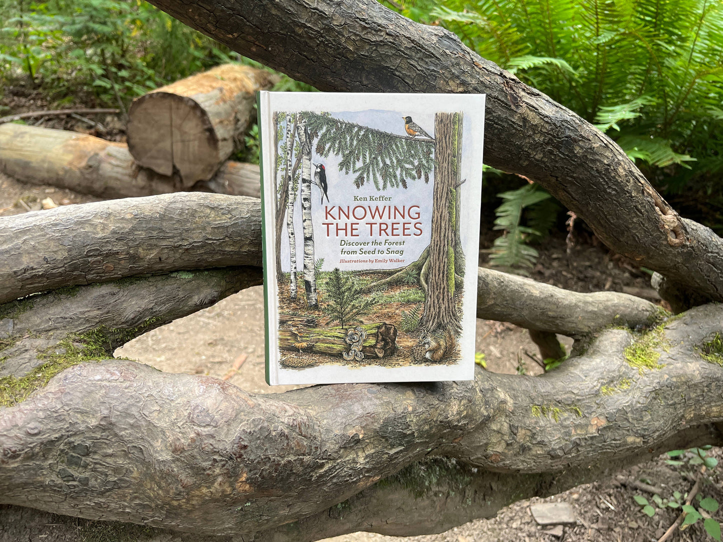 Knowing the Trees: Discover the Forest from Seed to Snag