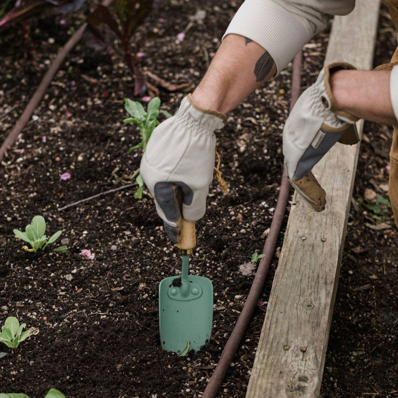 Garden Trowel