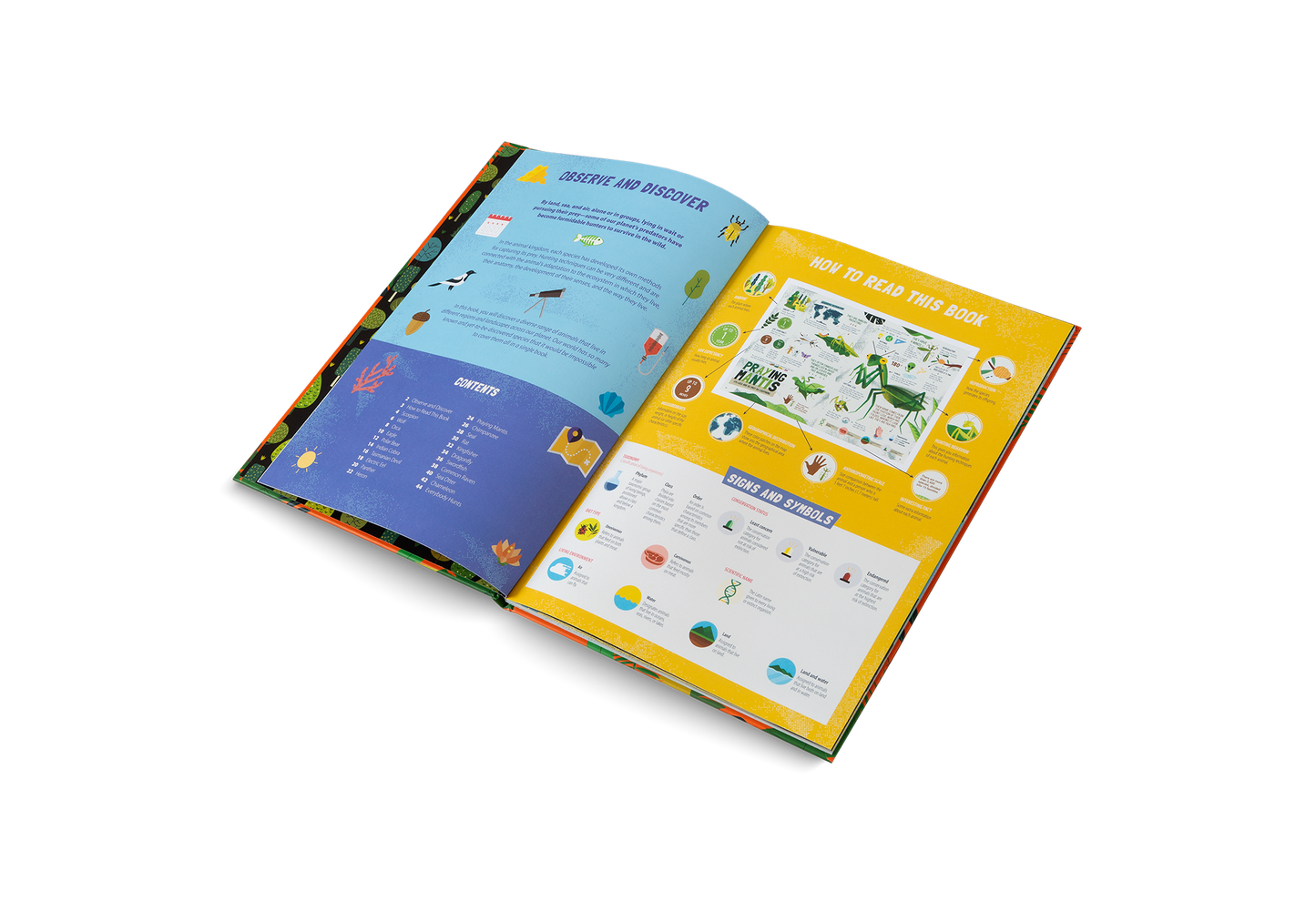 The Hunters – Predators of the Animal Kingdom