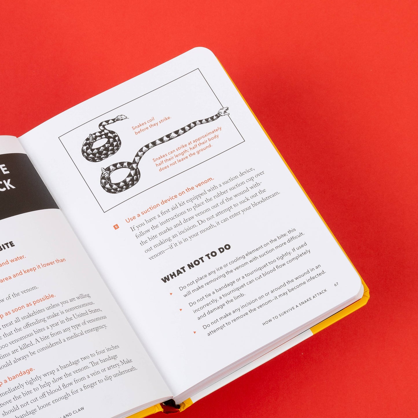 The NEW Worst-Case Scenario Survival Handbook