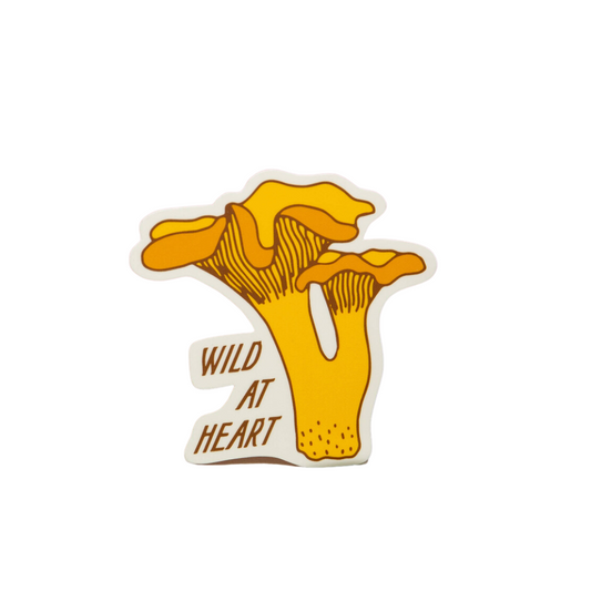 Wild at Heart Chanterelle Sticker