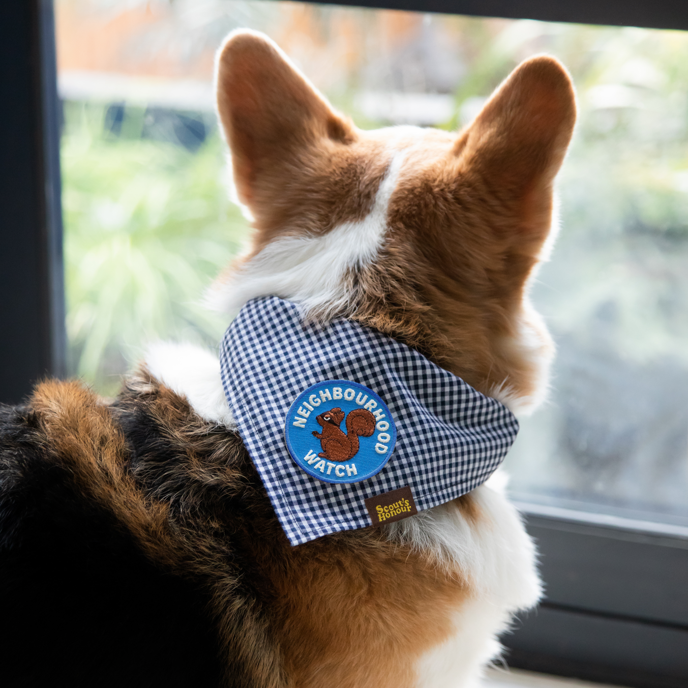 Neighbourhood Watch Iron-On Patch for Dogs
