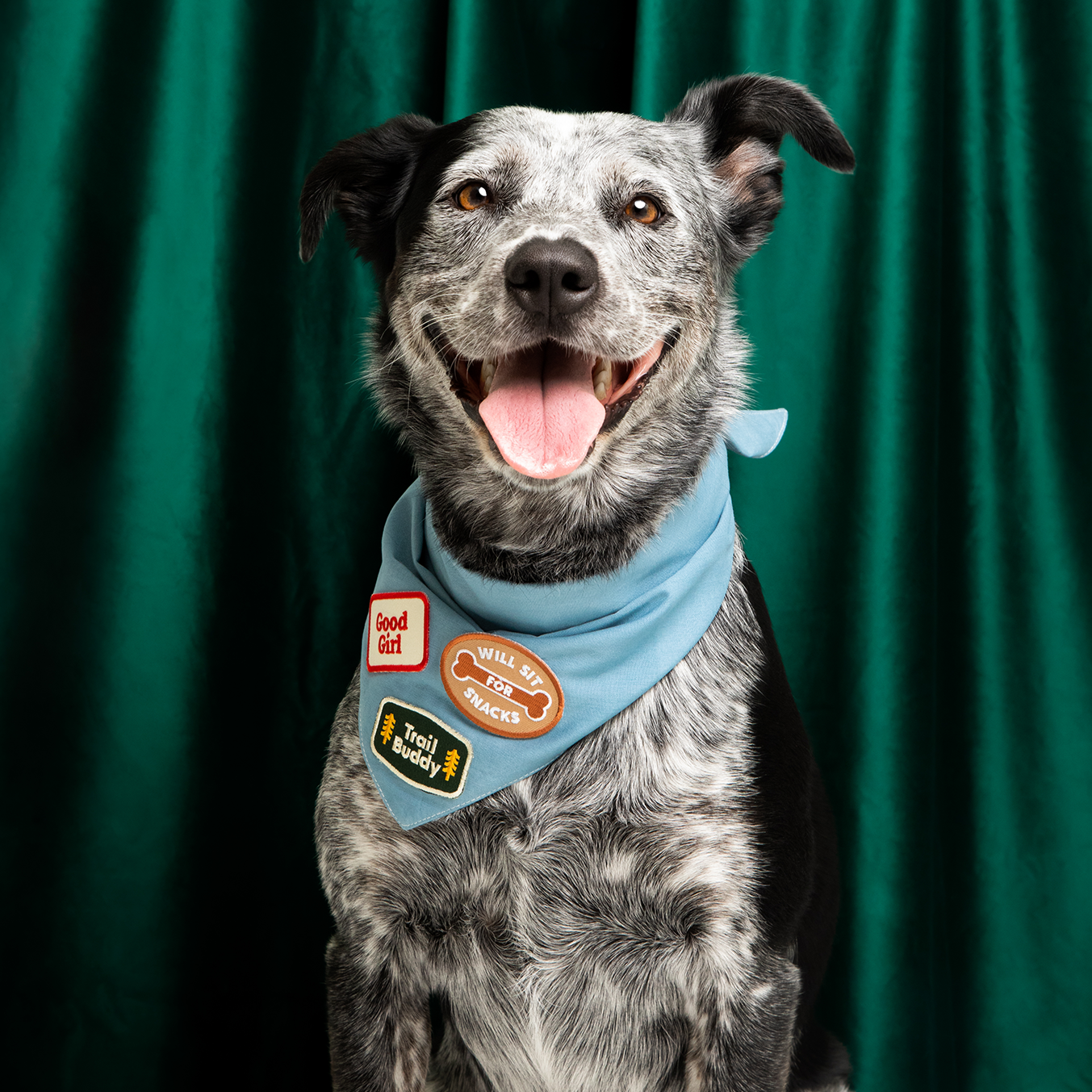 Good Girl Iron-On Patch for Dogs