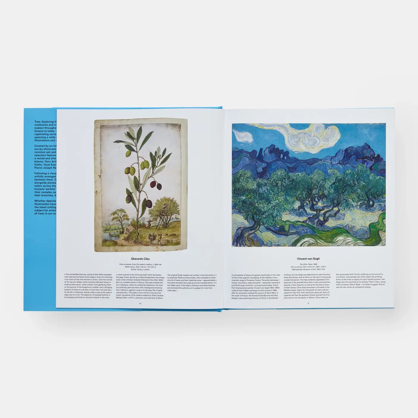 Tree: Exploring The Arboreal World