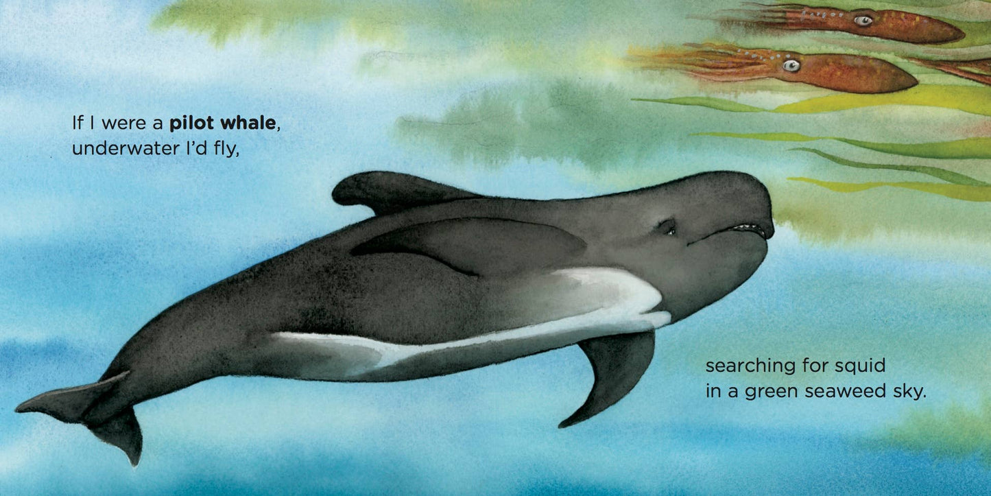 If I Were A Whale