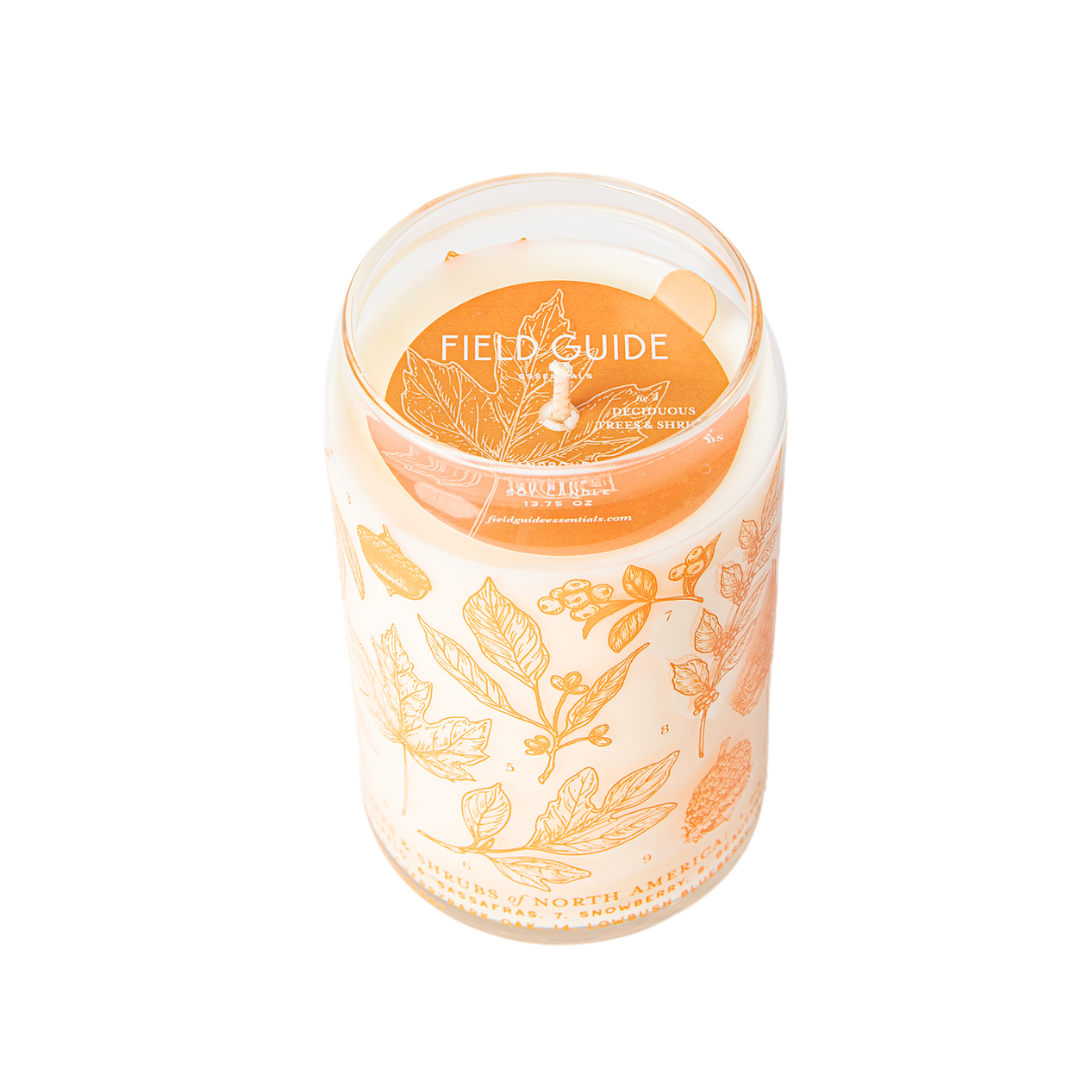 Deciduous Trees & Shrubs Soy Candle