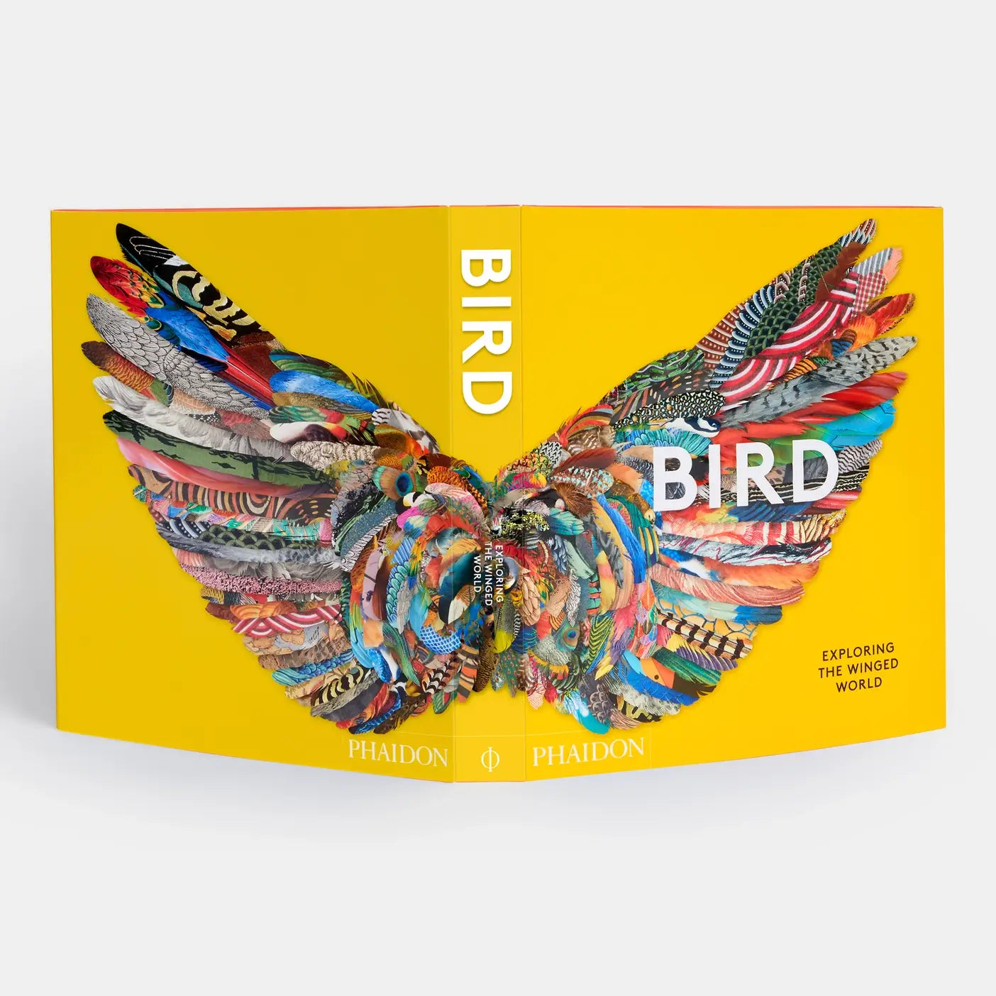 Bird: Exploring The Winged World