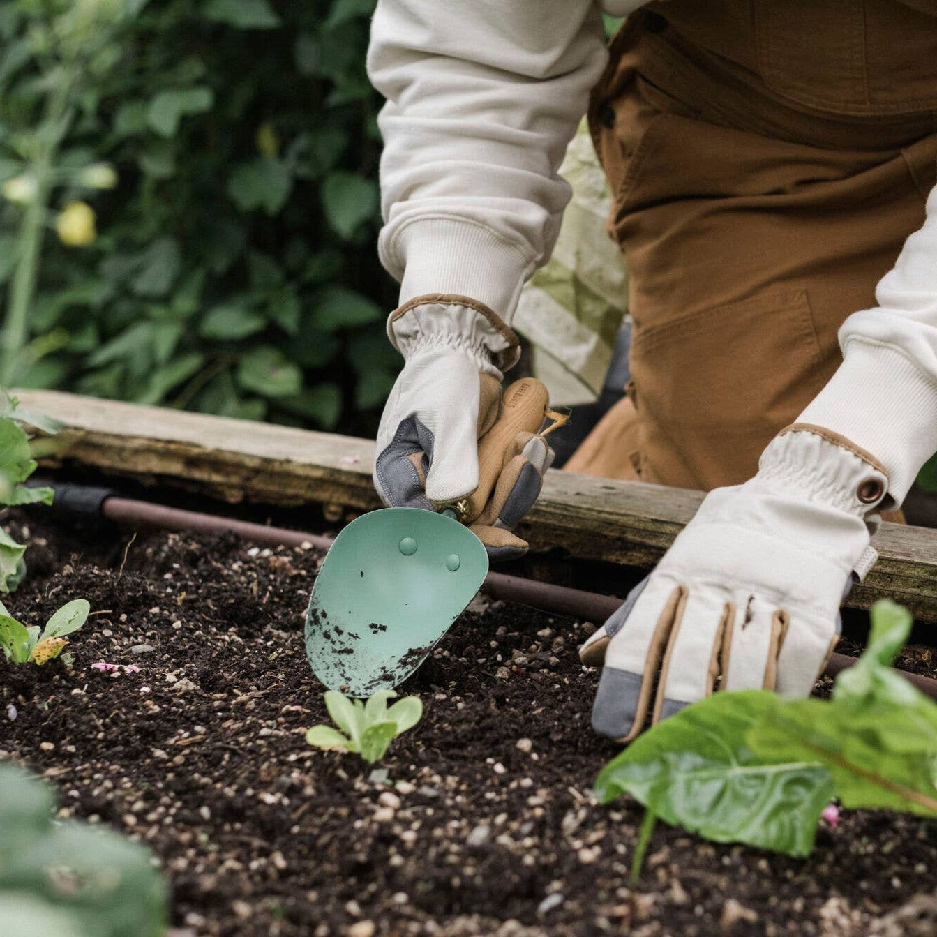 Garden Scoop