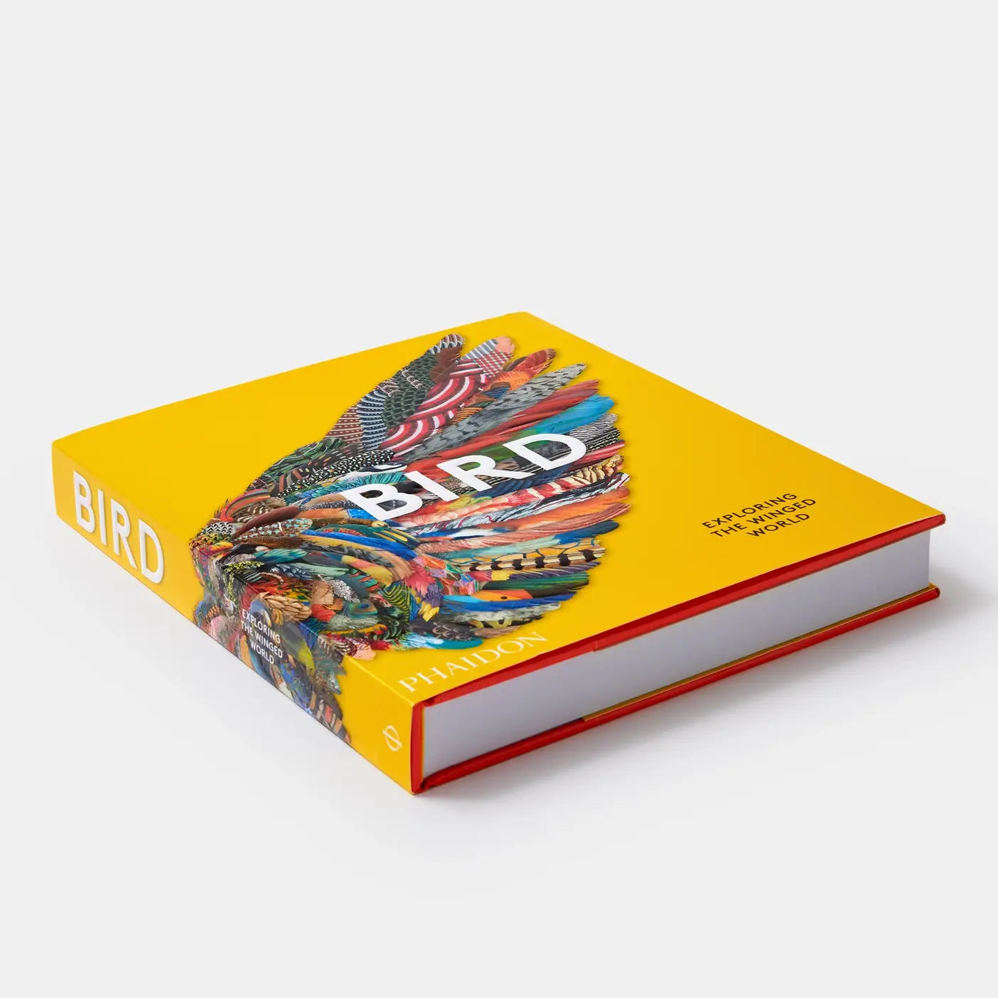 Bird: Exploring The Winged World