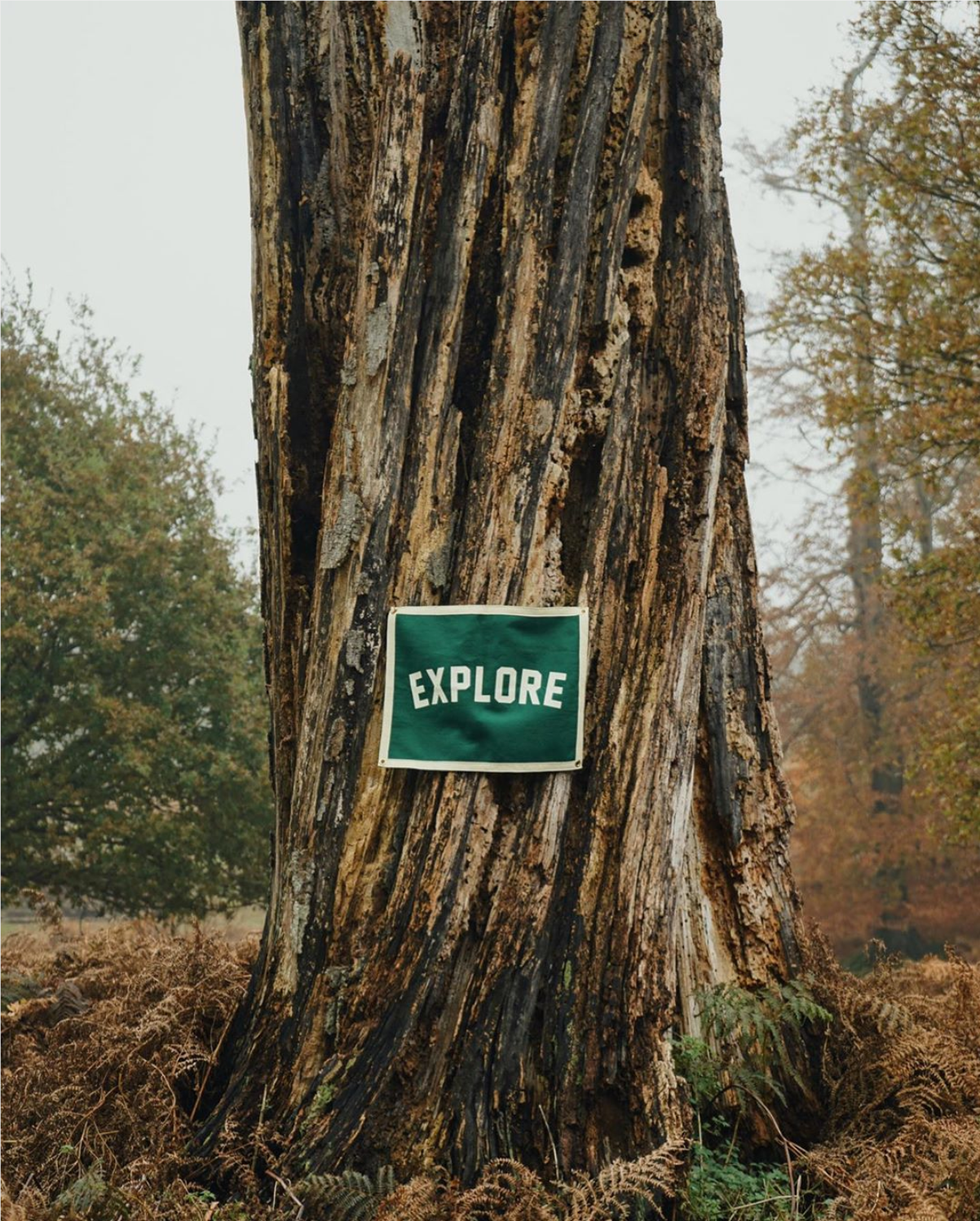 Explore Camp Flag