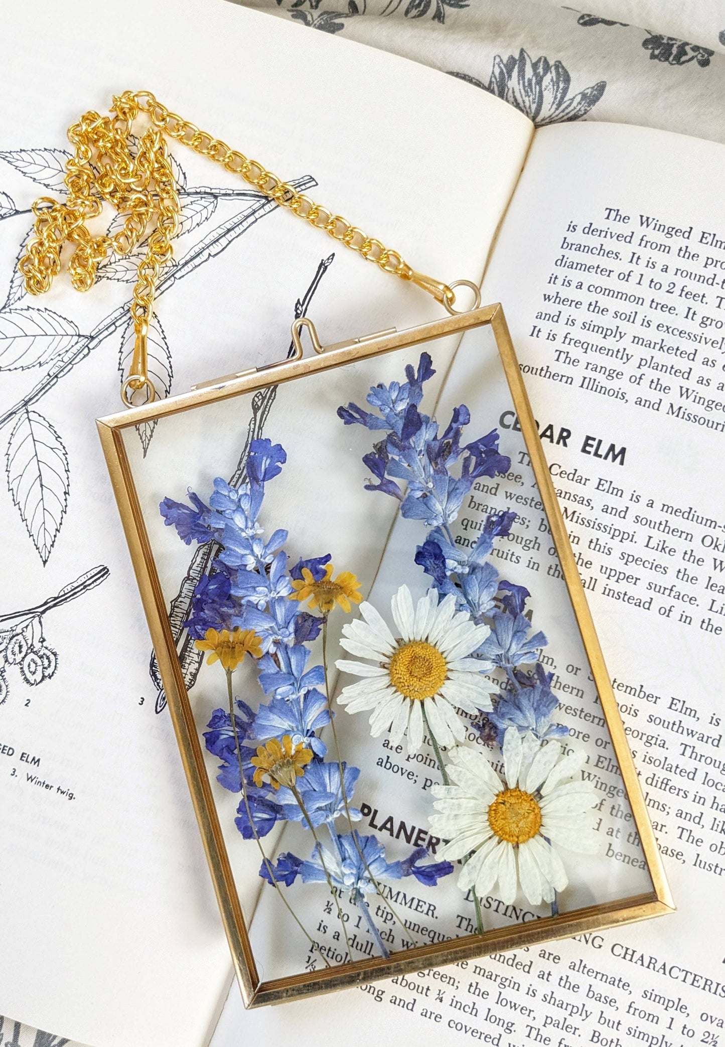 Pressed Flowers in Antique Brass Frame