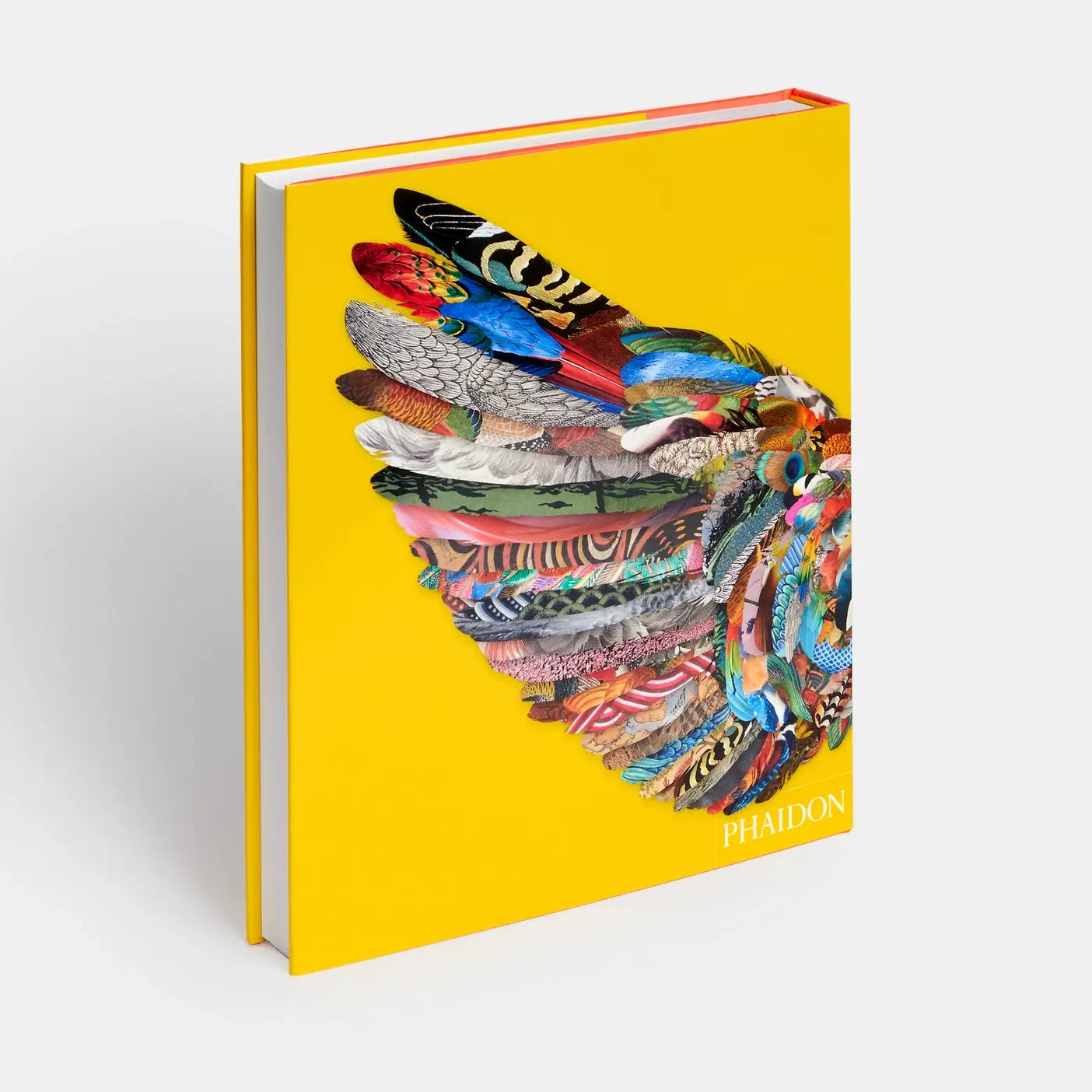 Bird: Exploring The Winged World