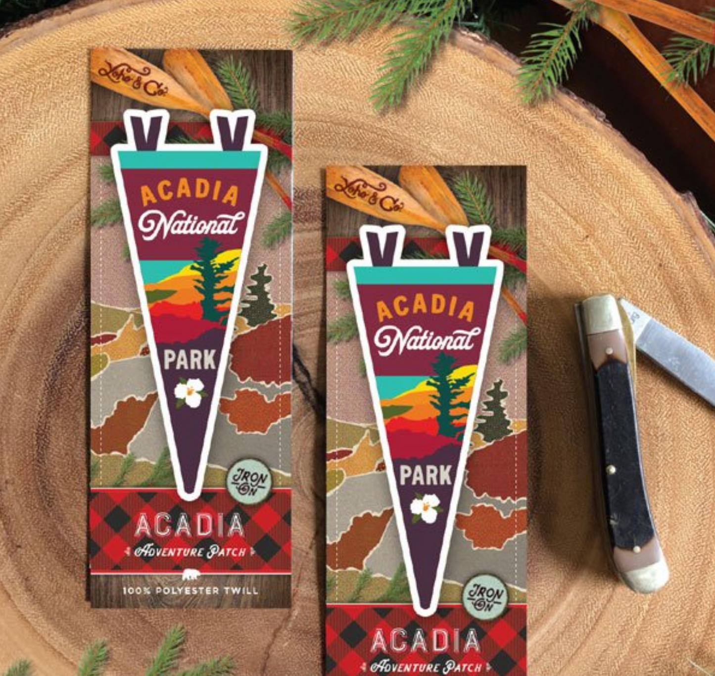 Acadia National Park Mini Pennant Patch