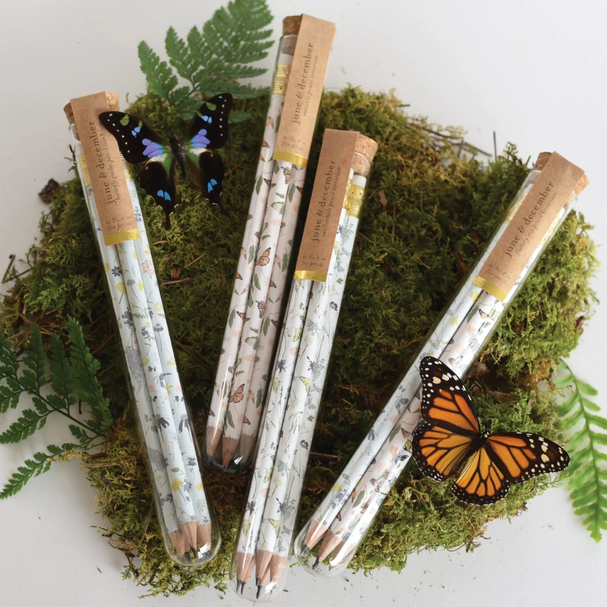 Butterfly Pencil Terrarium