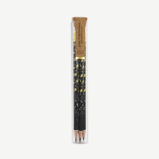 Firefly Pencil Terrarium