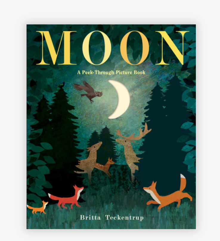 Moon: A Peek-Through Picture Book