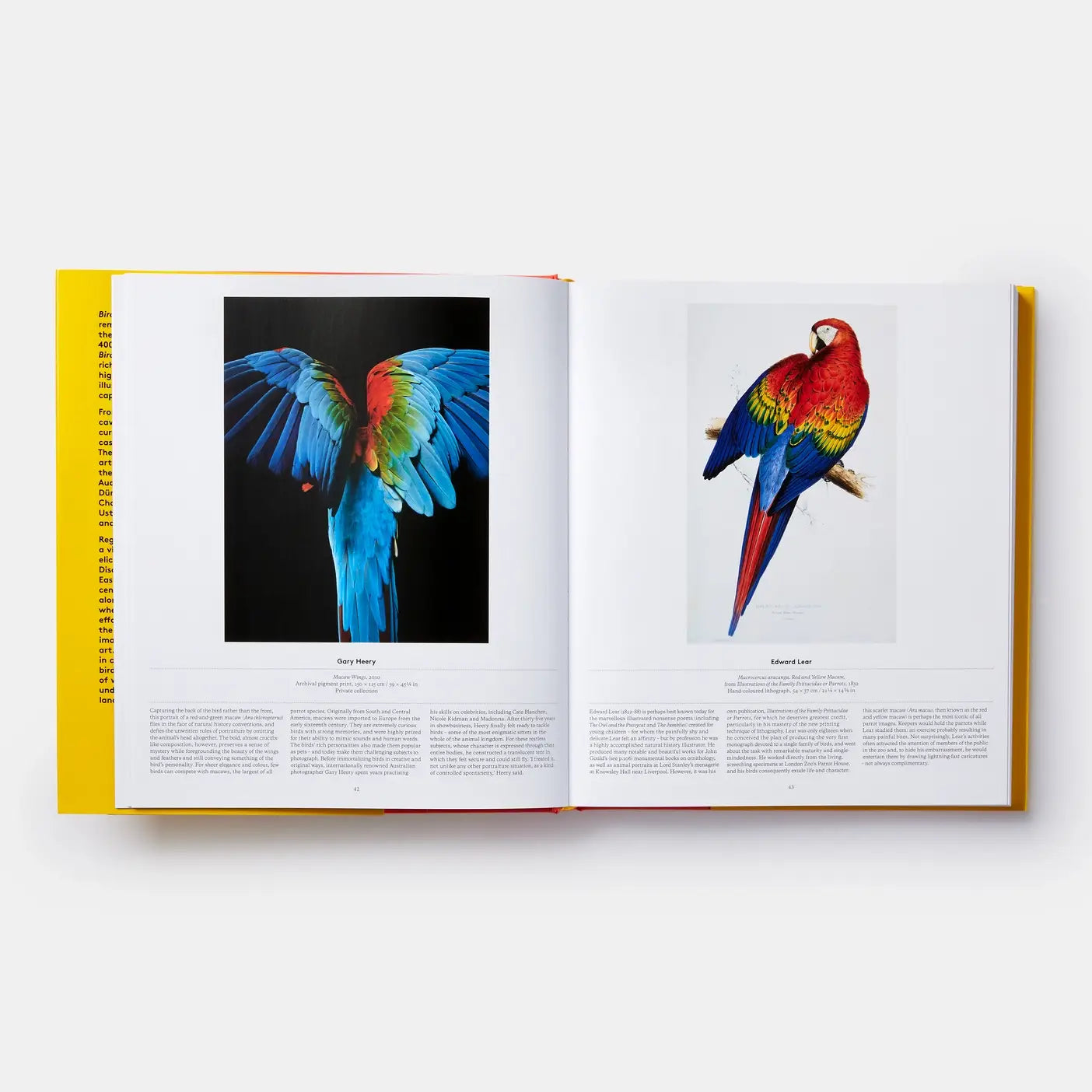 Bird: Exploring The Winged World