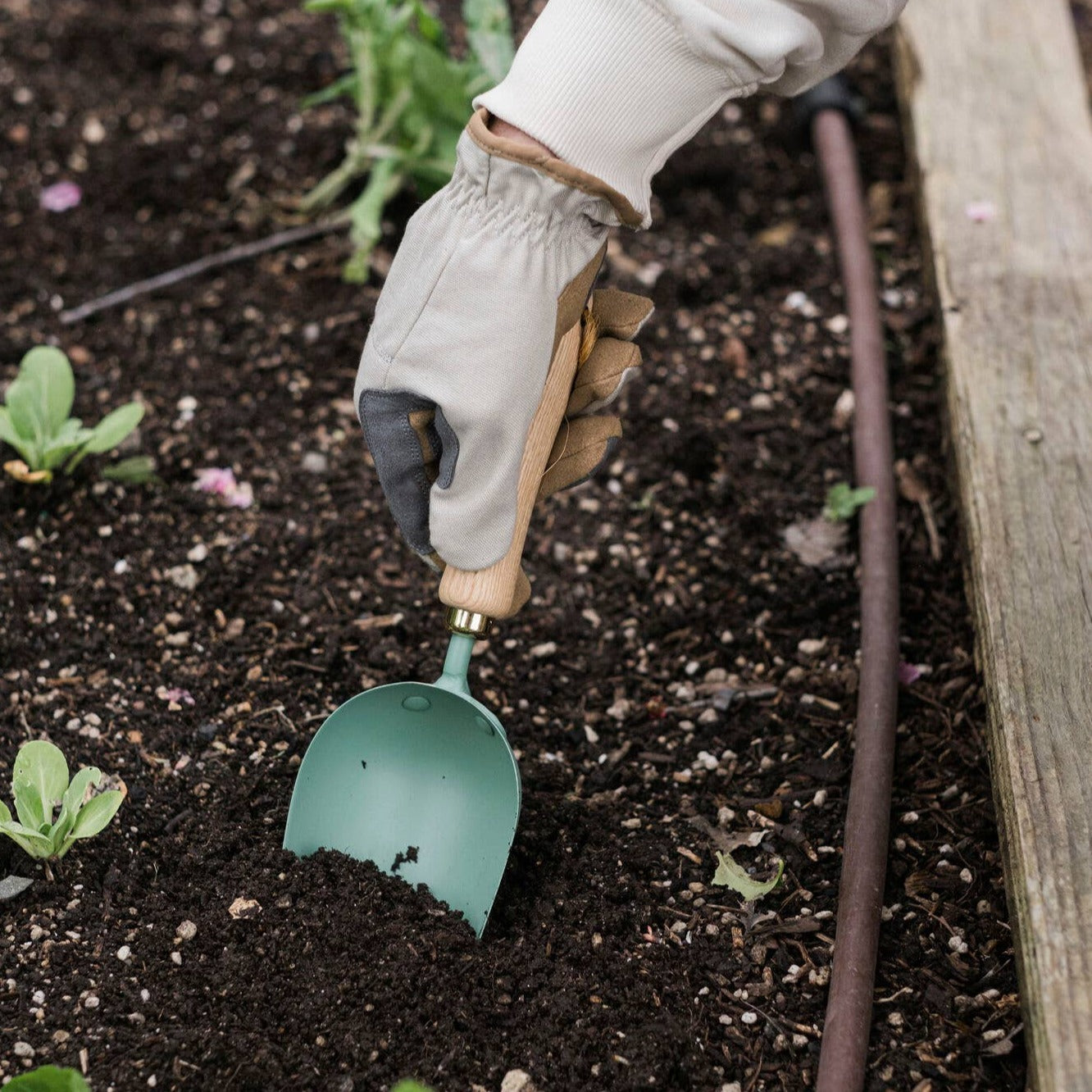 Garden Scoop