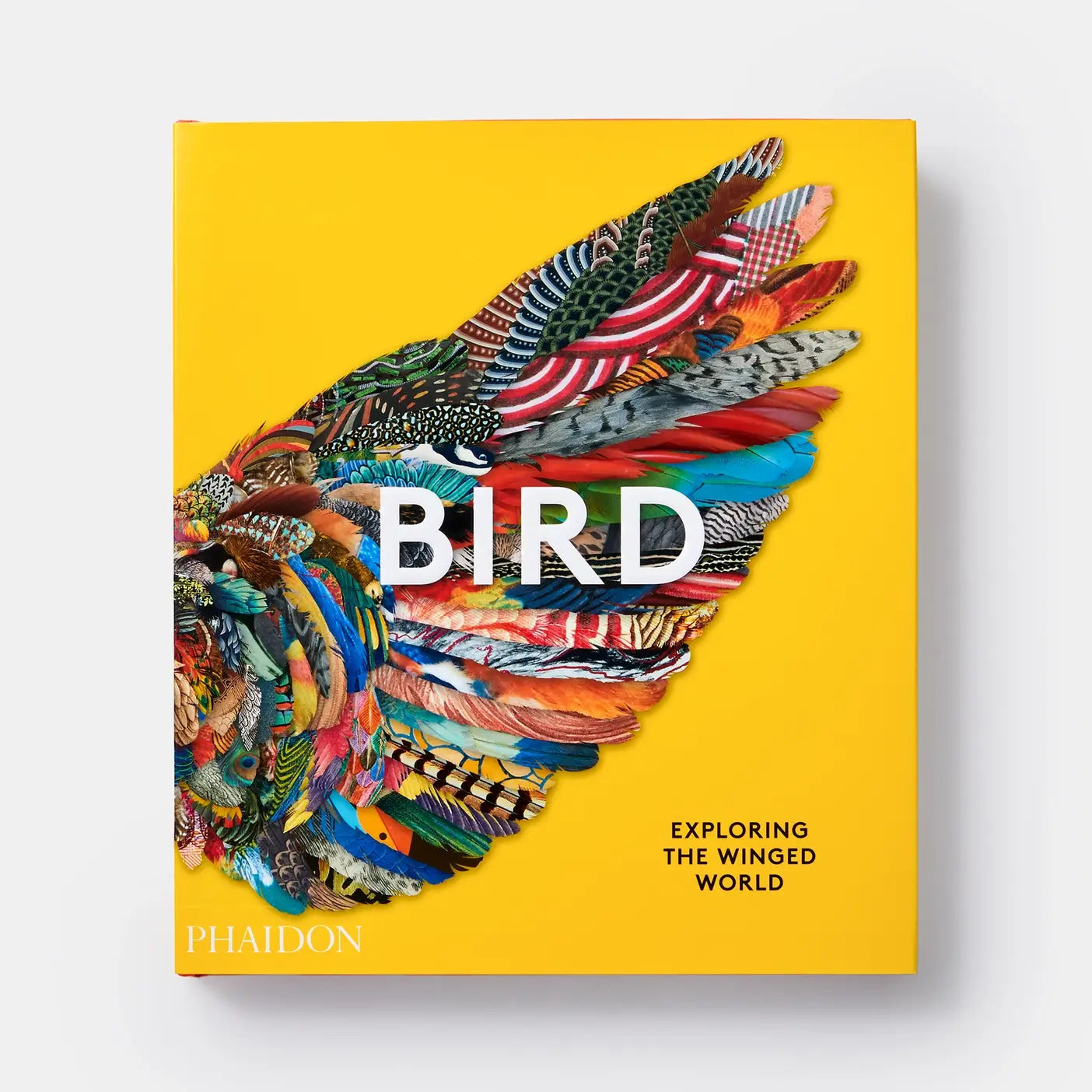 Bird: Exploring The Winged World