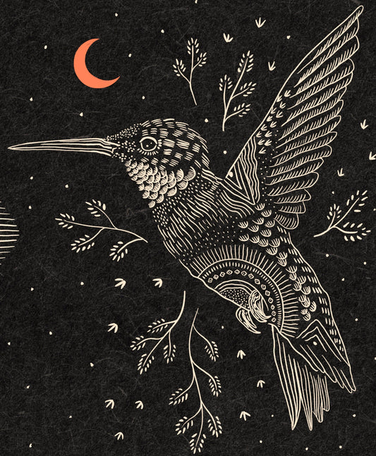 Hummingbird at Night: 8x10
