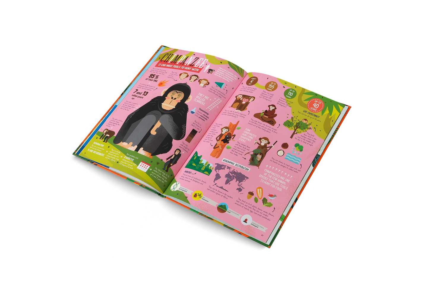 The Hunters – Predators of the Animal Kingdom