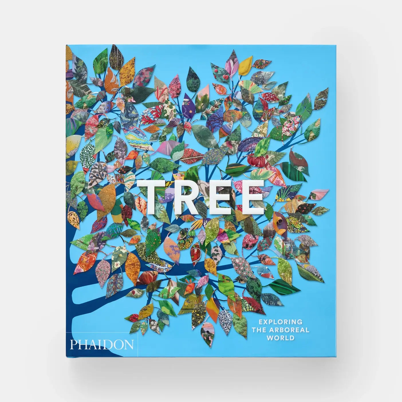 Tree: Exploring The Arboreal World