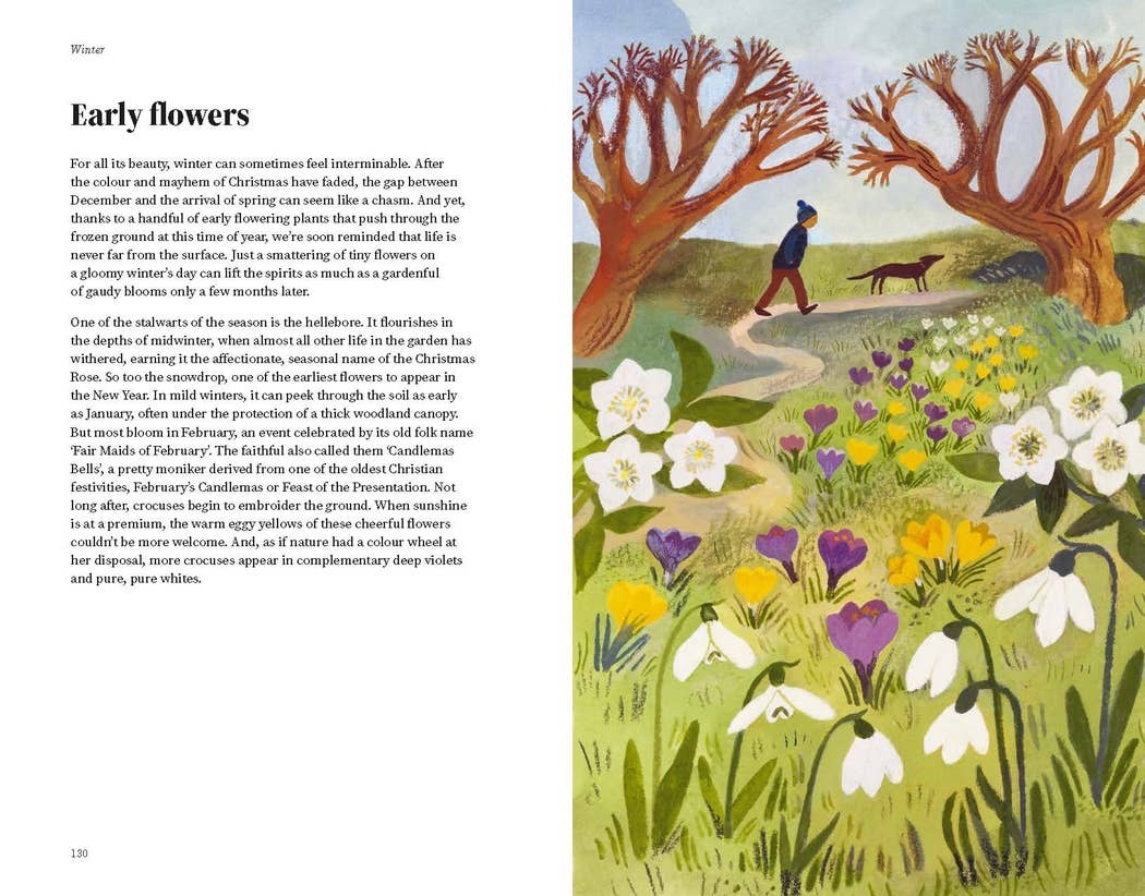 The Wildlife Year