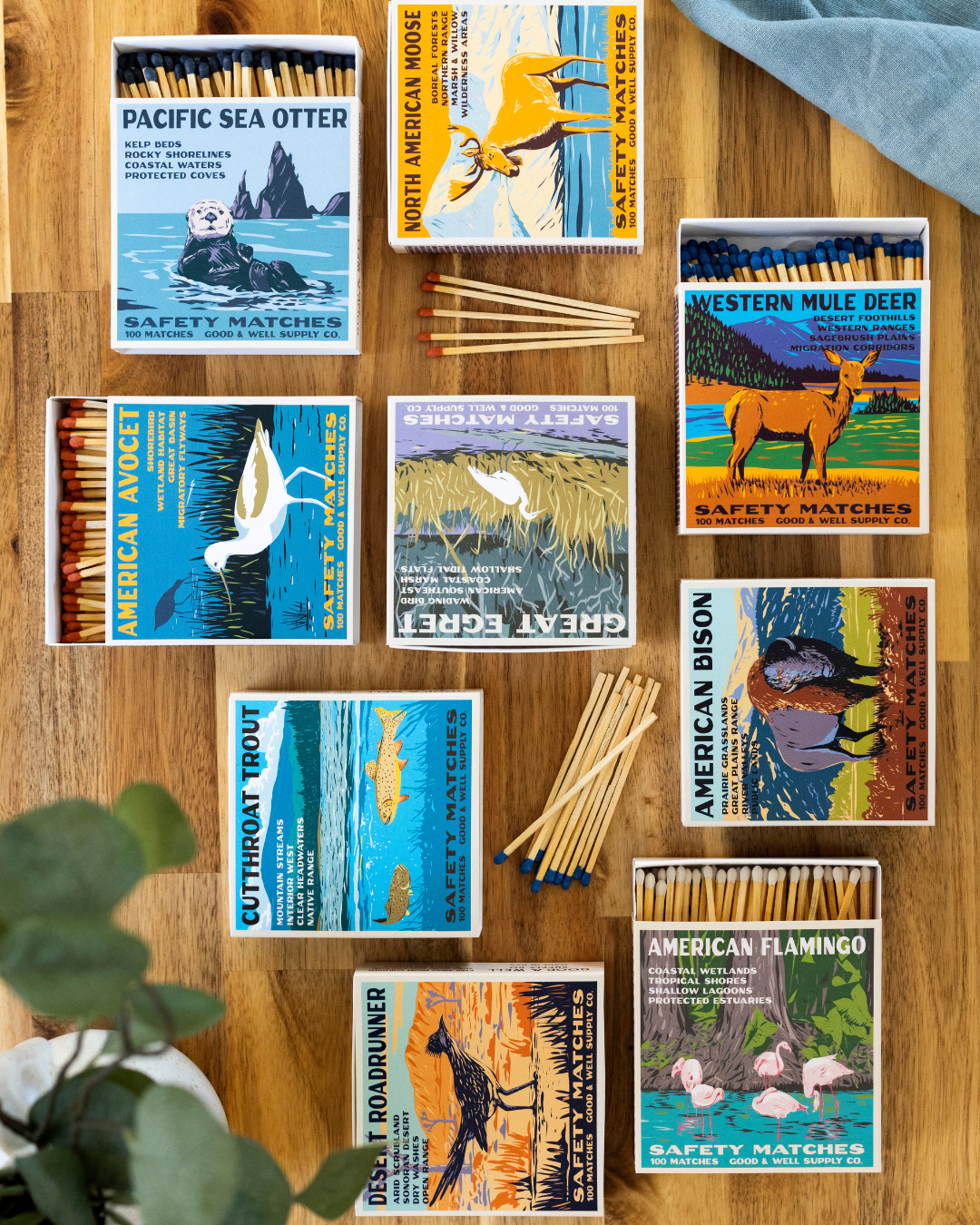 Desert Roadrunner Cabin Matches