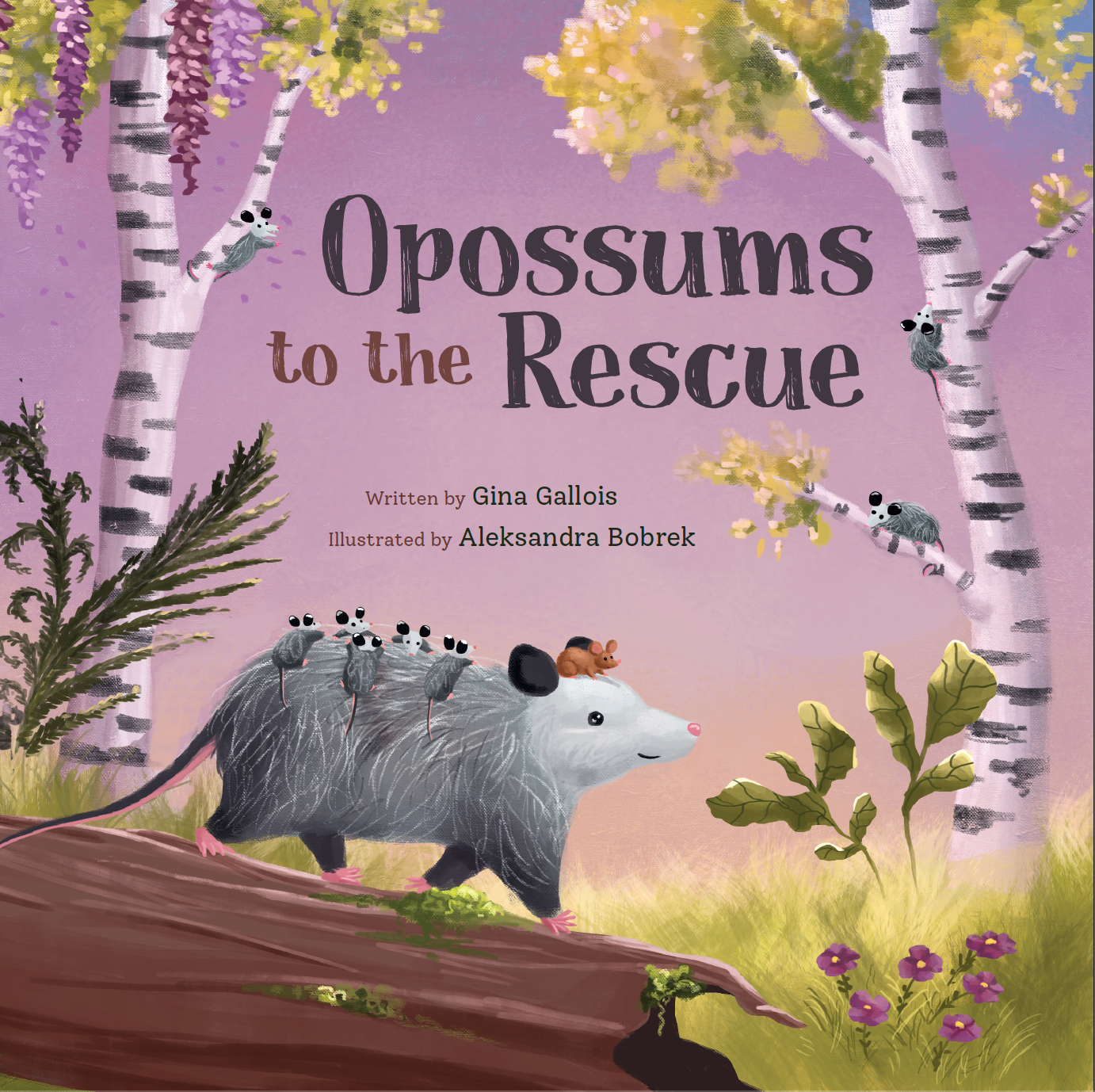 Opossums to the Rescue