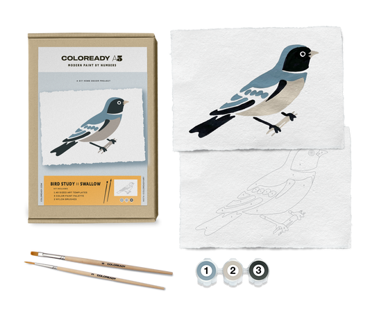 Swallow Modern Paint By Numbers Kit