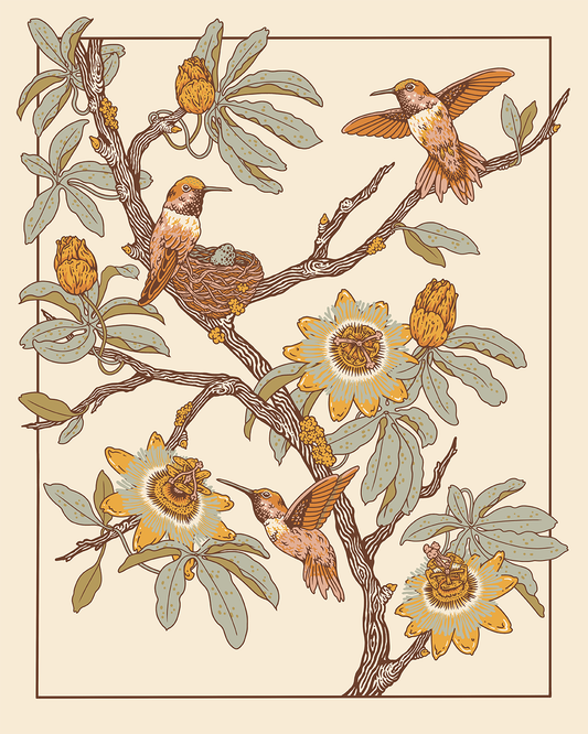 Hummingbirds + Passionflowers 16x20" Giclee Print