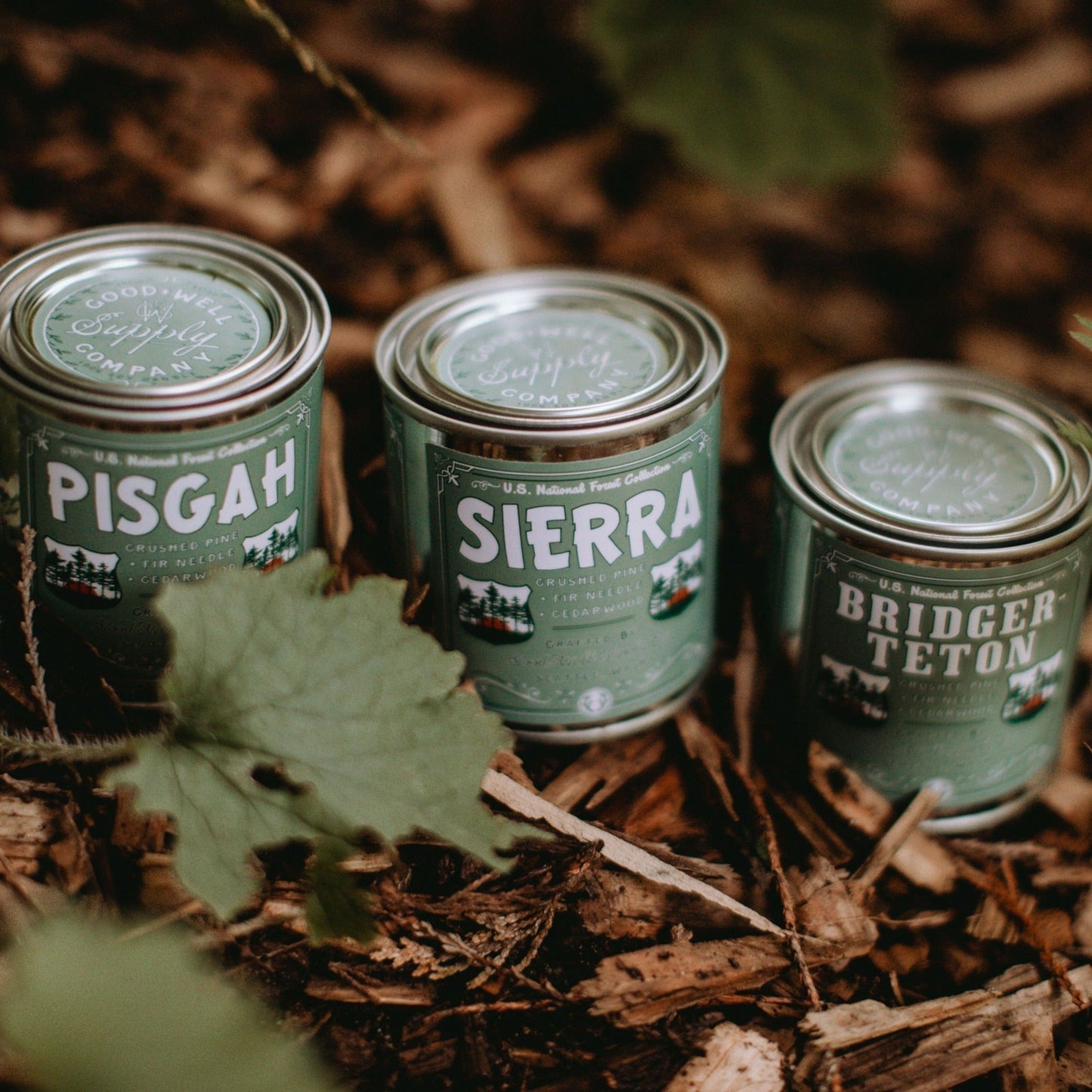 Olympic National Forests