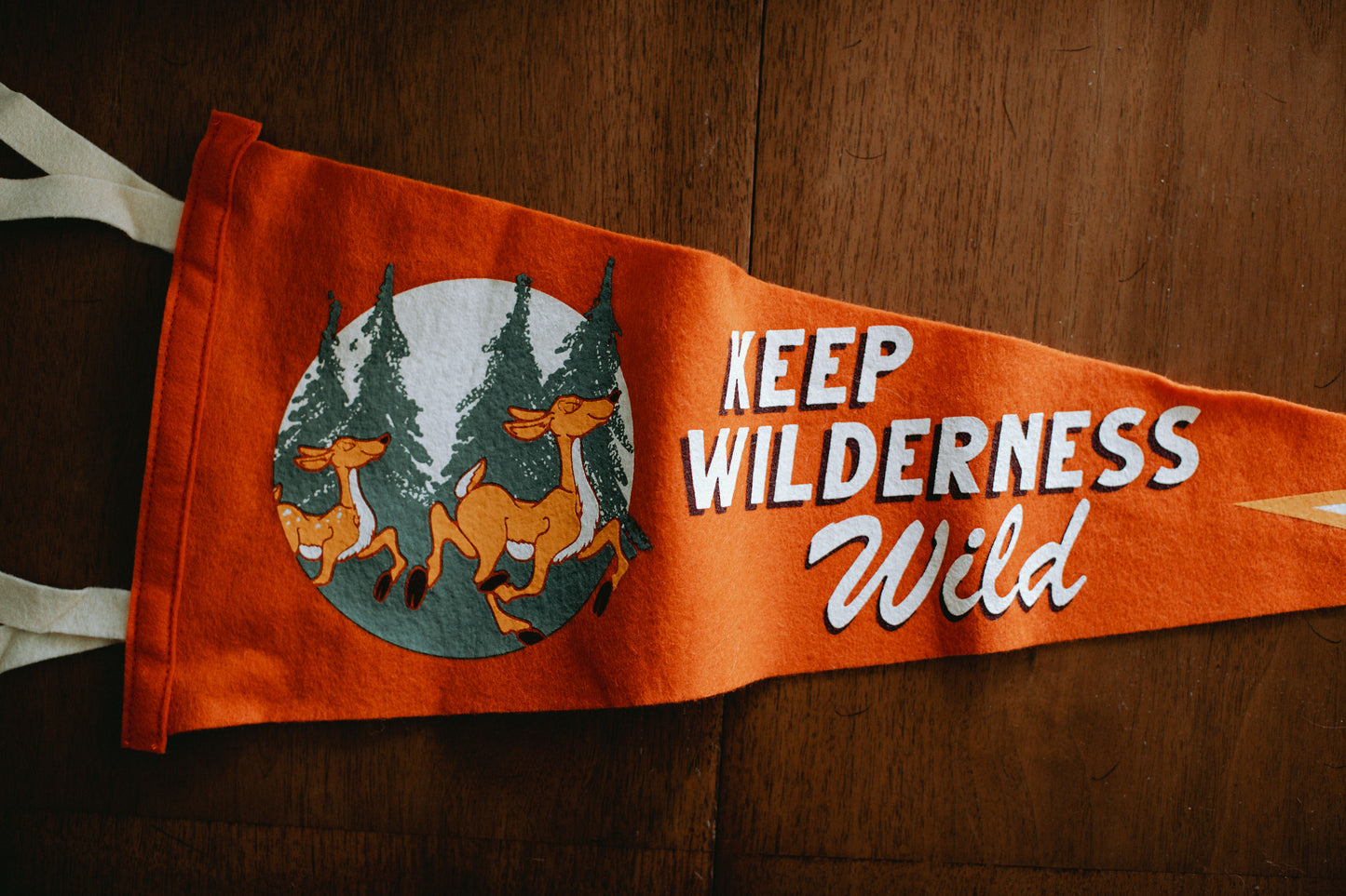 Keep Wilderness Wild Pennant