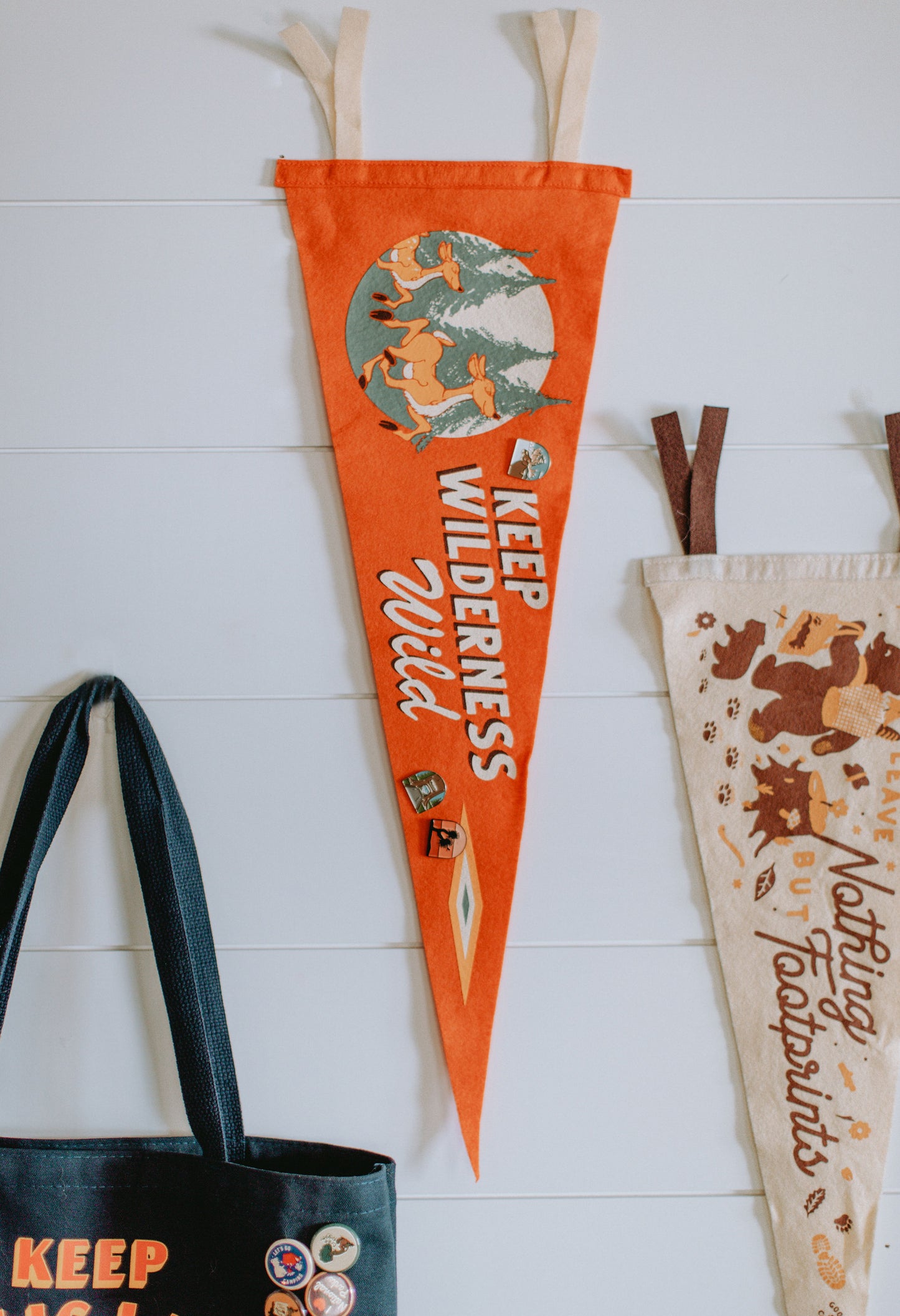 Keep Wilderness Wild Pennant