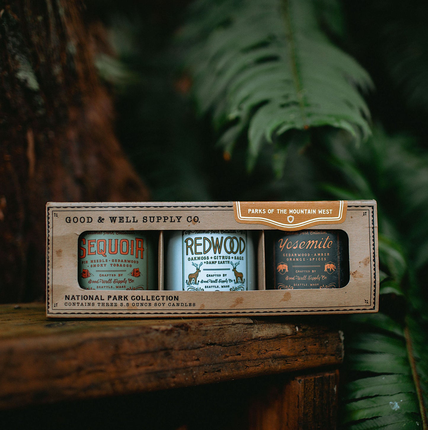 Parks of the Mountain West Region Set