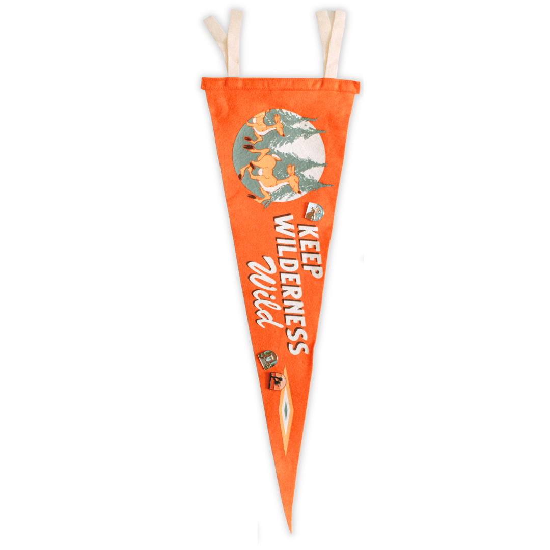 Keep Wilderness Wild Pennant