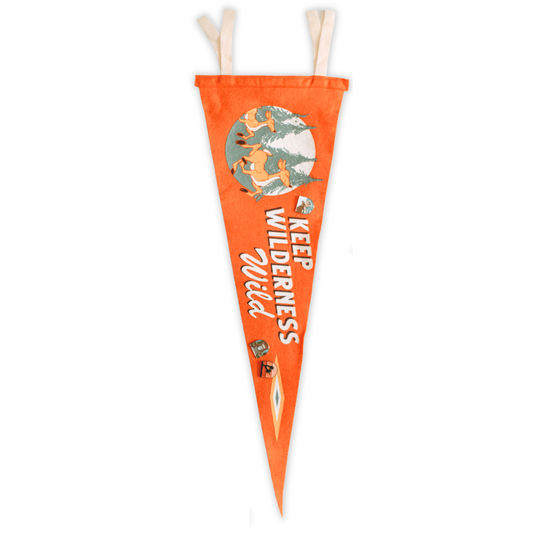 Keep Wilderness Wild Pennant